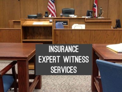 insurance expert witness services